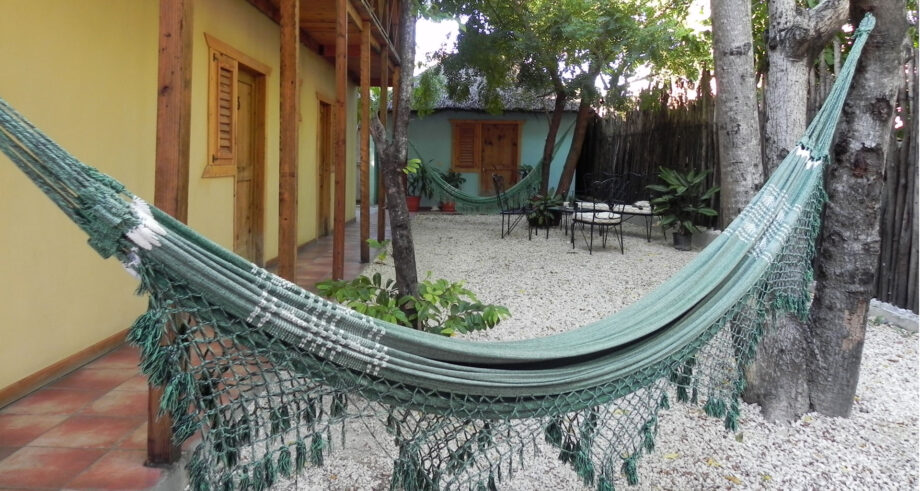 loro-tuerto Loro Tuerto - Image 1